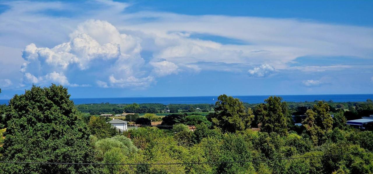 Villa Bistinetti Rez De Villa Tout Confort Avec Piscine Penta di Casinca Екстериор снимка